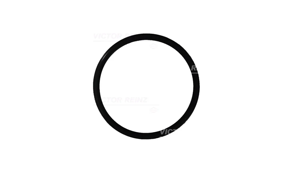 Tetningsring - 40-76165-00 - (Reinz) v:7521739