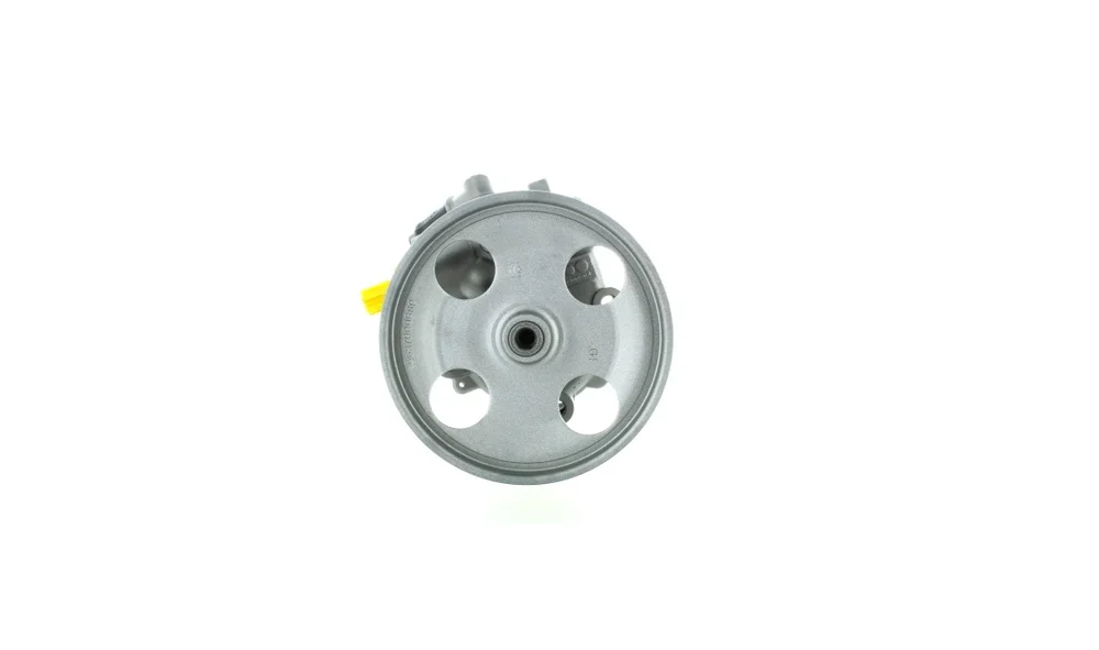 Servopumpe – 52918 – (GKN) v:8255254 Servopumpe – 52918 – (GKN) v:8255254