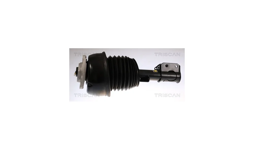 Luftfjærbein – 8720 23112 – (Triscan) v:9620499 Luftfjærbein – 8720 23112 – (Triscan) v:9620499