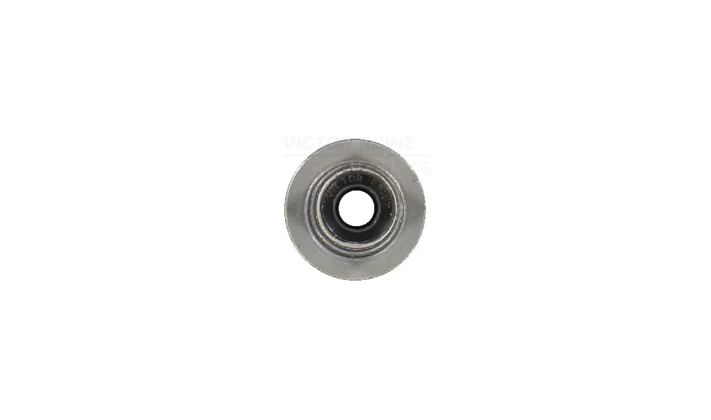 Pakning, Ventilstamme 70-13246-00 (Reinz v:5449850