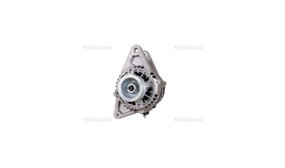 Dynamo - 8310 69014 - (Triscan) v:3252388